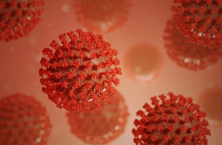 У людей без наличия антител может выработаться иммунитет к коронавирусу — ученые