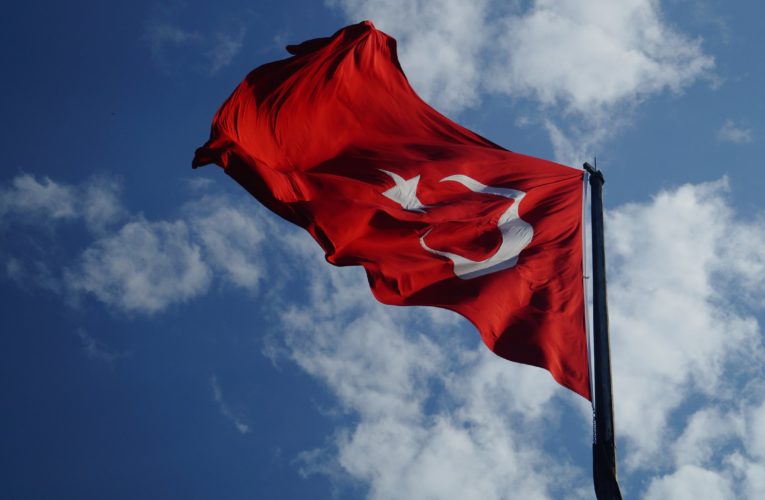 Турция резко отреагировала на «красную линию» Макрона