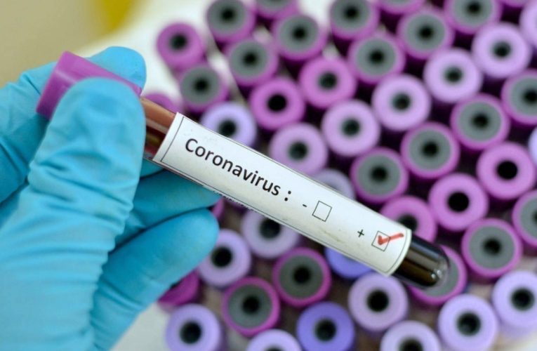 В мире за сутки обнаружили менее 200 тысяч новых больных коронавирусом