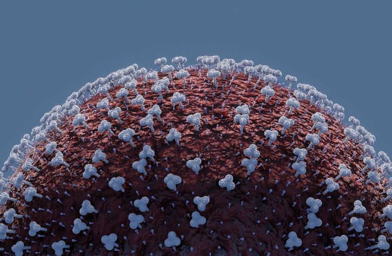 Ученые выяснили, как коронавирус взламывает организм