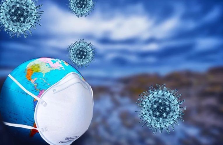 ВОЗ подсчитали, какой процент жителей Земли заразились коронавирусом