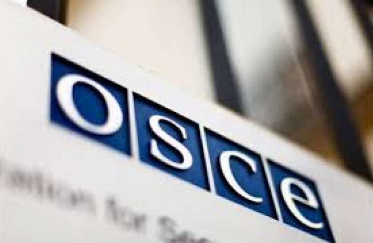 ОБСЕ отреагировала на опрос Зеленского