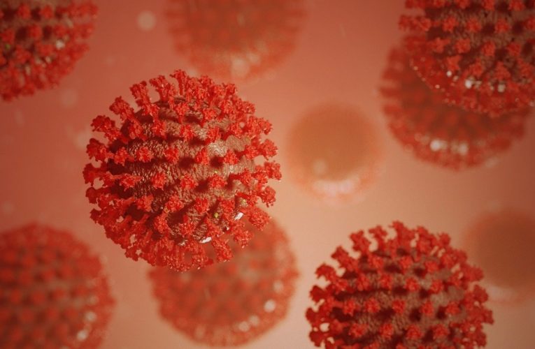 Врач спрогнозировал «внезапное исчезновение» коронавируса