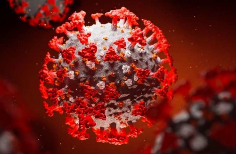 Вирусологи рассказали, как человек может победить коронавирус
