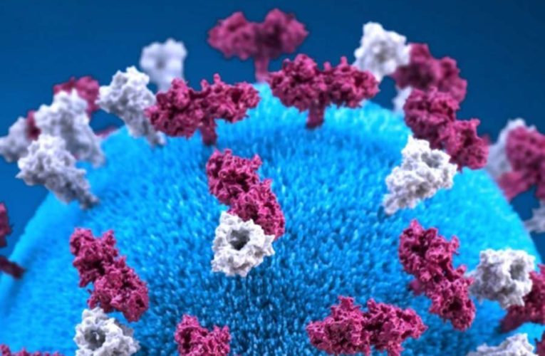 Медики объяснили, почему не стоит бояться мутаций коронавируса