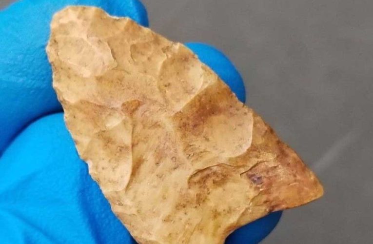 В Израиле обнаружили древнейшее шлифовальное орудие