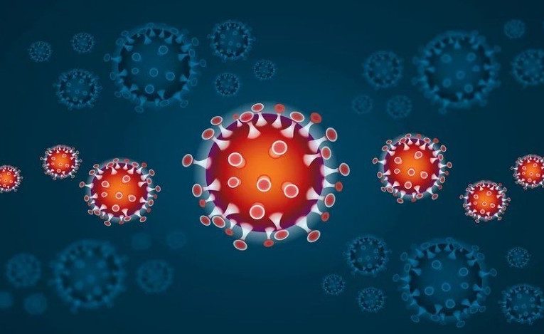 В США выявили два новых штамма коронавируса