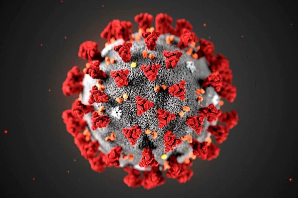 Ученые заявили о высоком риске появления новых коронавирусов