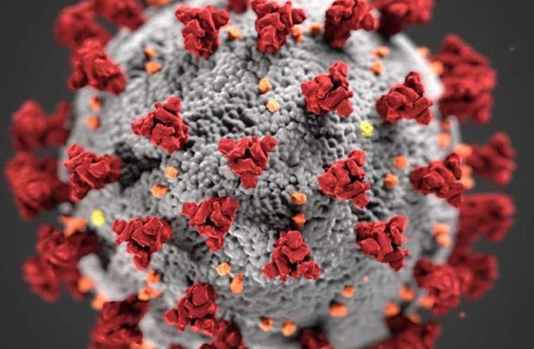Ученые предупредили об опасных мутациях коронавируса
