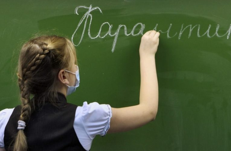 Обнародован режим работы школ до конца карантина