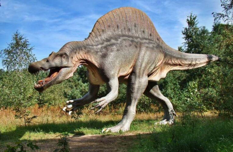 Ученые обнаружили в Шотландии десятки следов динозавров
