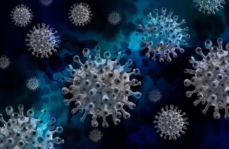 Ученые открыли уникальный механизм размножения коронавируса в клетках