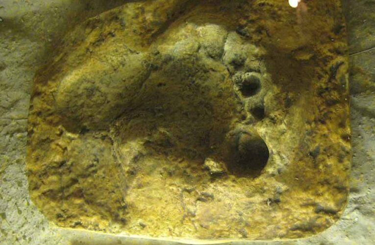 В Испании обнаружили древнейшие следы неандертальцев