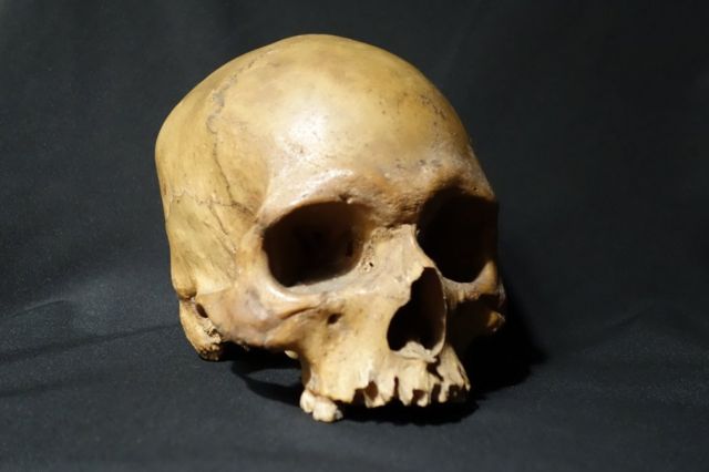 Древнейшее человеческое захоронение нашли в Африке