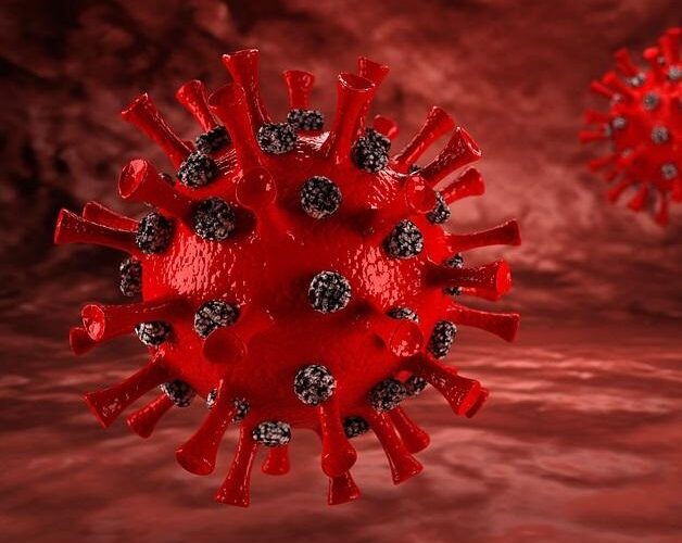Ученые раскрыли стратегию SARS-CoV-2 для обмана иммунной системы