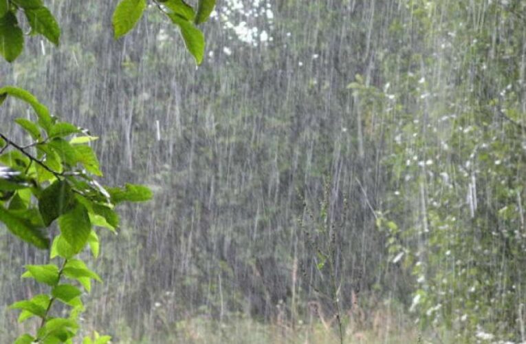 Половина Украины окажется во власти дождей