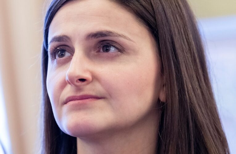 Ольга Василевська: я зареєструвала постанову ВР, про визнання ХАМАСу терористичною організацією