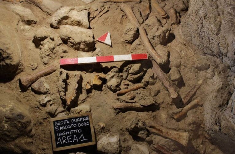 Недалеко от Рима обнаружены останки 9 неандертальцев