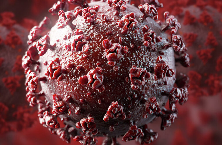 В США подтвердили возможность утечки коронавируса из уханской лаборатории