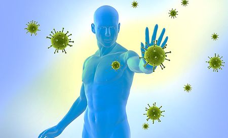 У кого дольше всех сохраняется иммунитет к коронавирусу, установили ученые