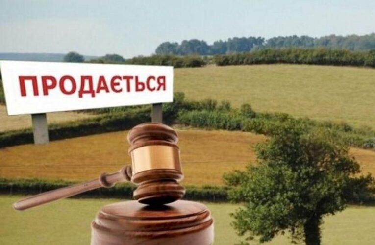 Рынок земли в Украине поставили на паузу
