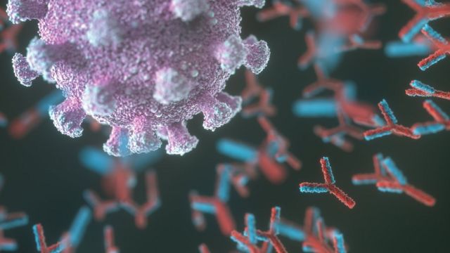 Медики установили, насколько антитела к коронавирусу защищают от повторного заражения