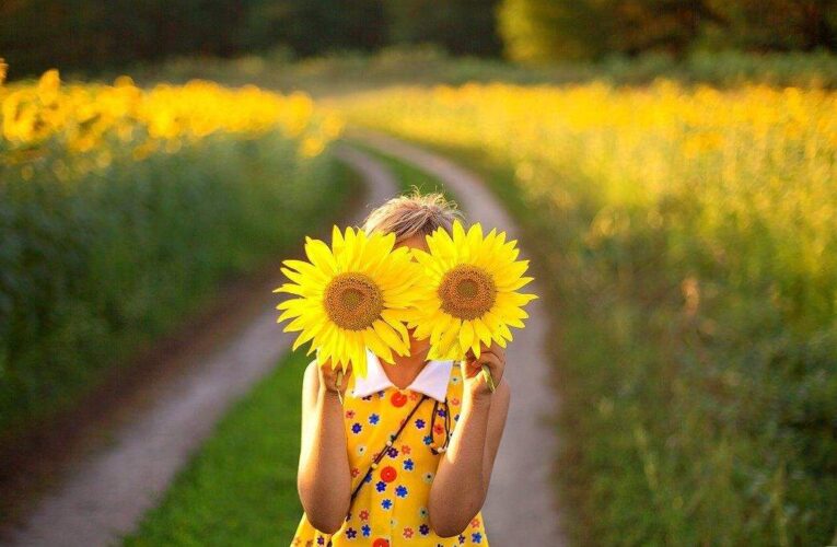 Народный синоптик рассказал, какая погода будет в Украине до конца лета