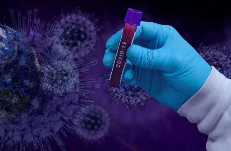 Журналистам The New Yourk Times запретили расследовать происхождение коронавируса