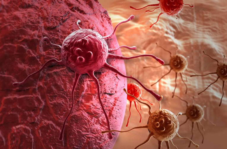 Уязвимое место раковых клеток обнаружили ученые