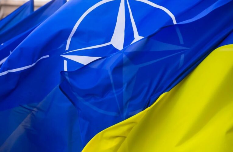 В Кремле началась истерика из-за подготовки Украины к вступлению в НАТО