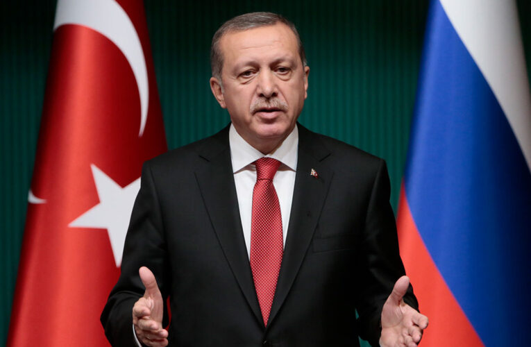 Эрдоган поделился ожиданиями от встречи с Путиным