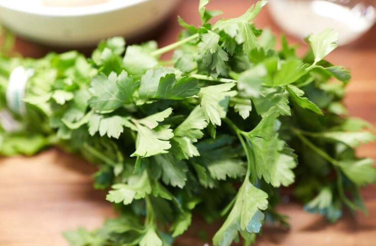 Диетологи назвали чудодейственные свойства петрушки