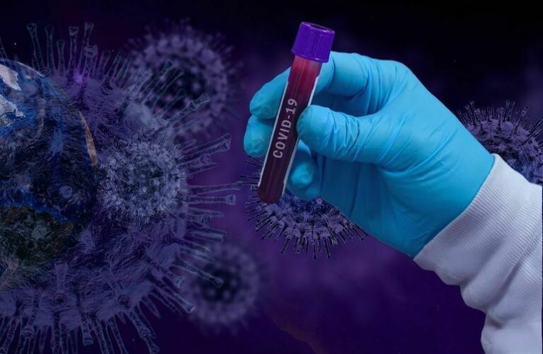 Когда коронавирус может превратиться в обычную сезонную болезнь, сообщили ученые