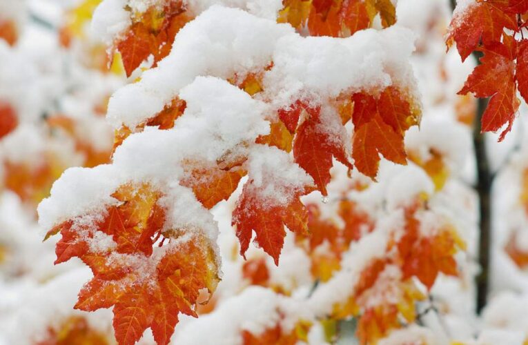 В Украину идет резкое похолодание со снегом и морозами