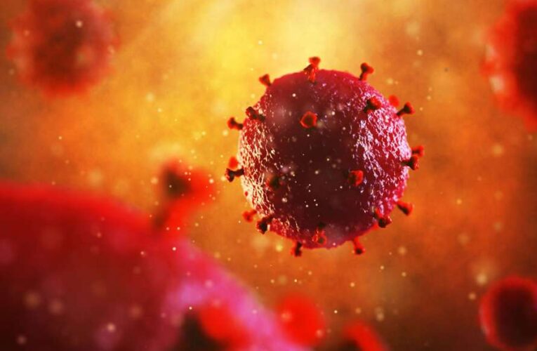 Ученые обнаружили удивительную способность коронавируса