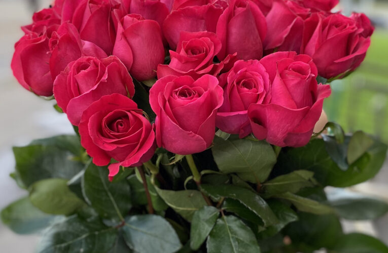 Верховный Суд закупил роз на 12000 гривен
