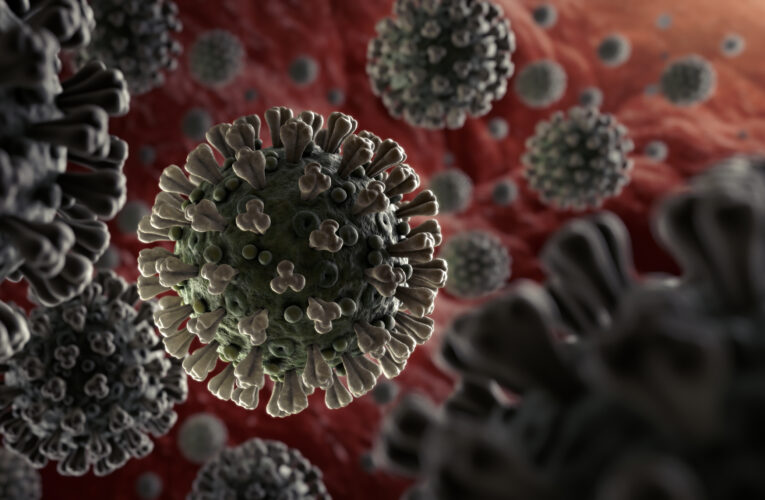 Украина — уже на втором месте в Европе по суточной смертности от коронавируса