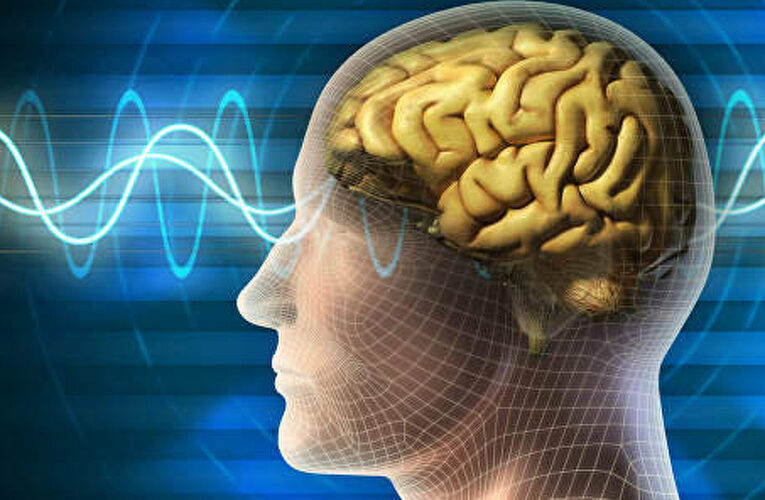 Ученые назвали основные способы замедления старения мозга