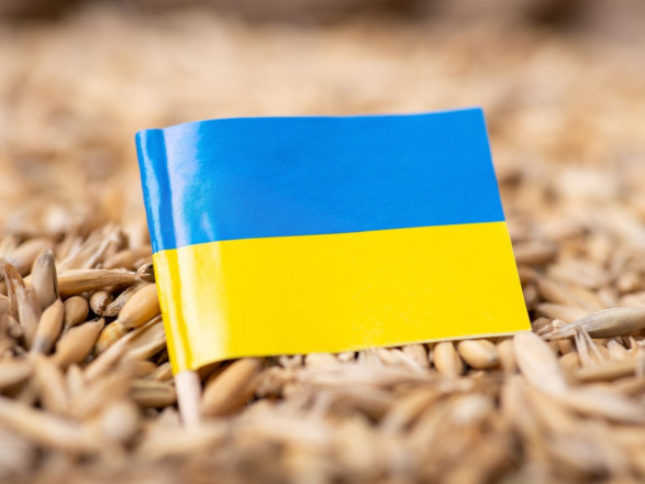Польща та Україна відновлять переговори про транзит зерна — польський міністр