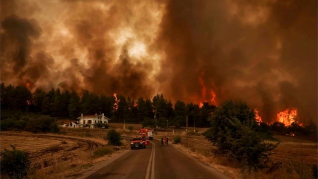 В Греції зафіксована найбільша лісова пожежа в ЄС