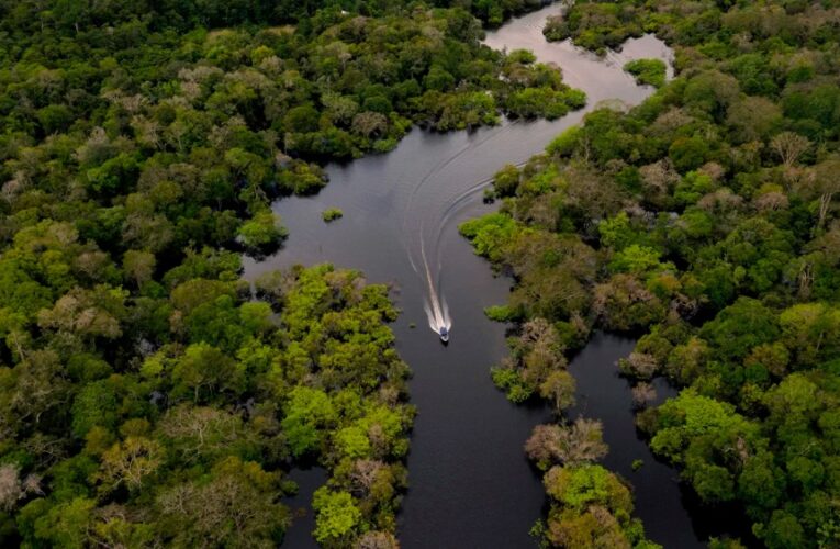 Частина тропічних лісів може стати нездатною виробляти кисень — дослідження
